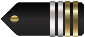 Insignia